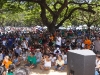 2009-ukulele-audience